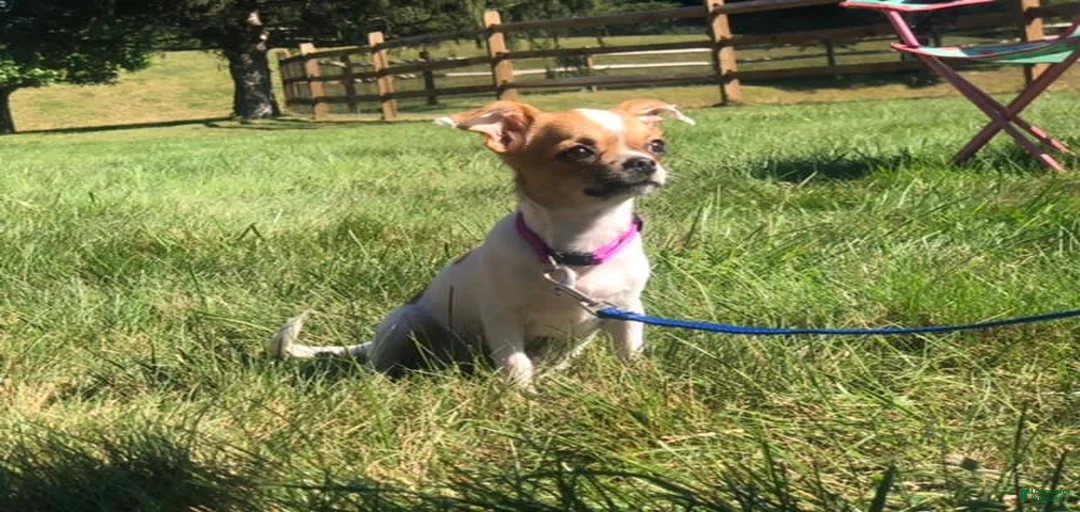 Gallery Image {{count}}