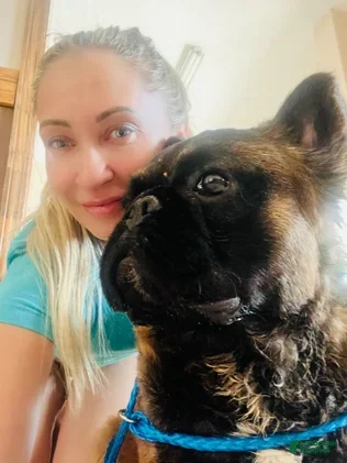 French Bulldog dogs French Bulldog 2 - Ad 2