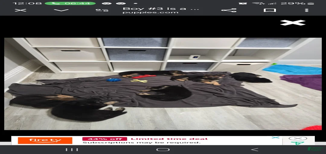 Gallery Image {{count}}