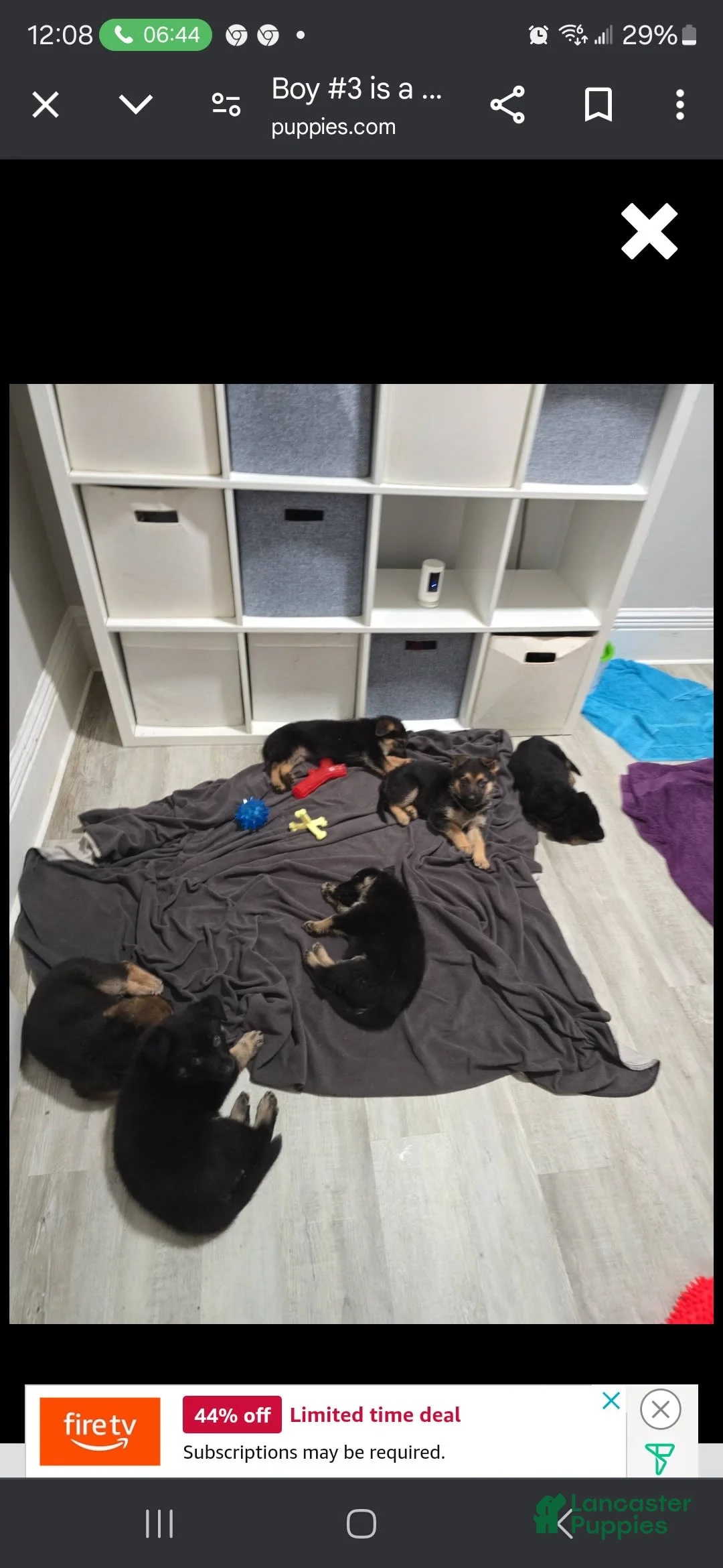 Gallery Image {{count}}