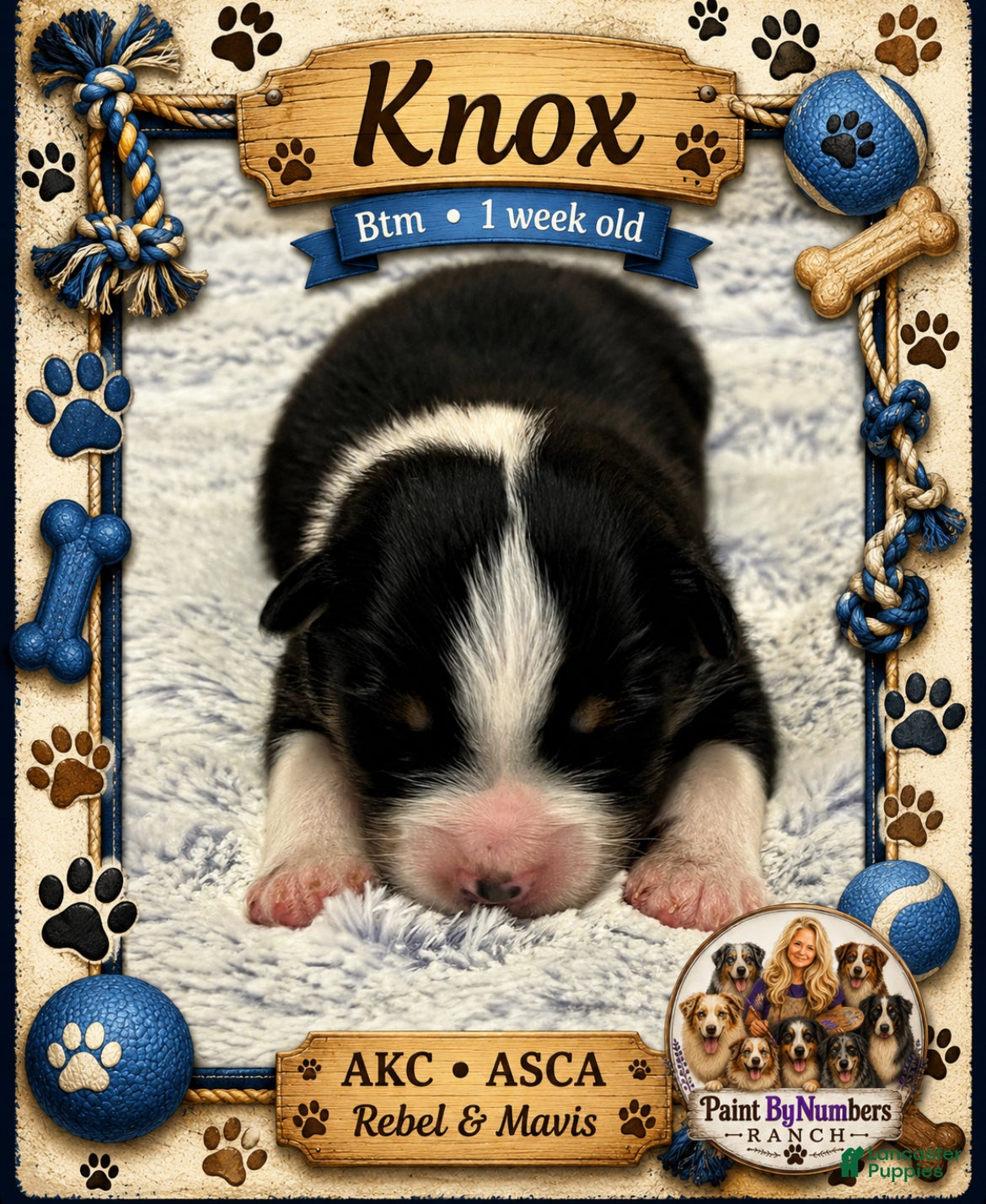Knox 