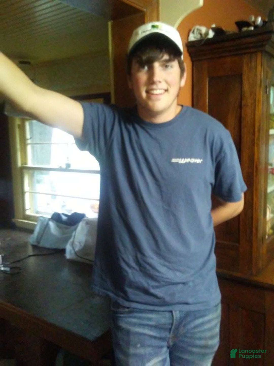 Gallery Image {{count}}