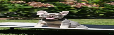 Leroy