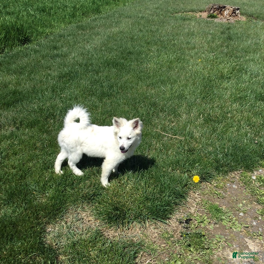 Gallery Image {{count}}