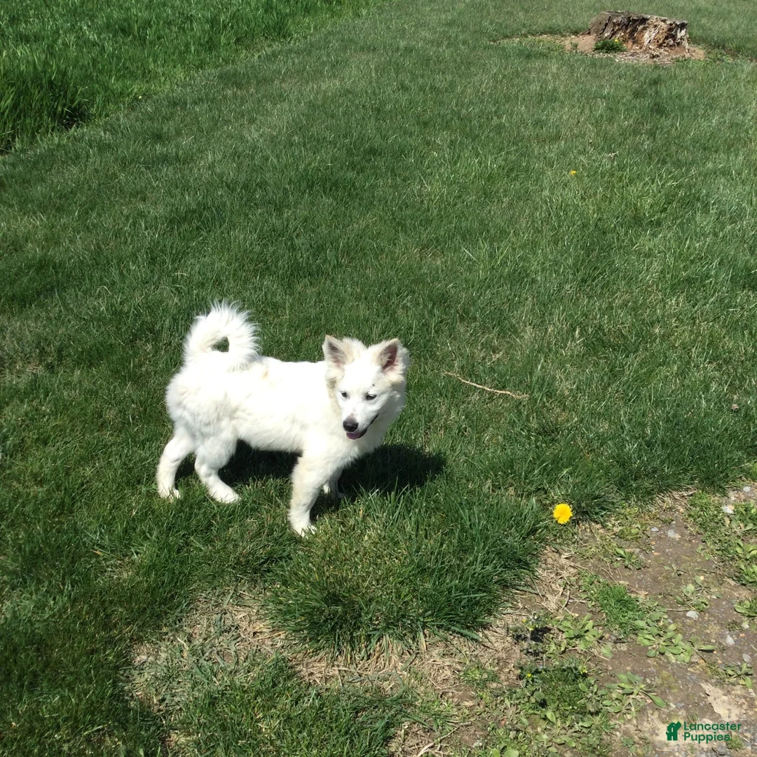 Gallery Image {{count}}