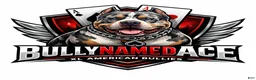 American Bully dogs for stud: Bully named ace  - Ad 4