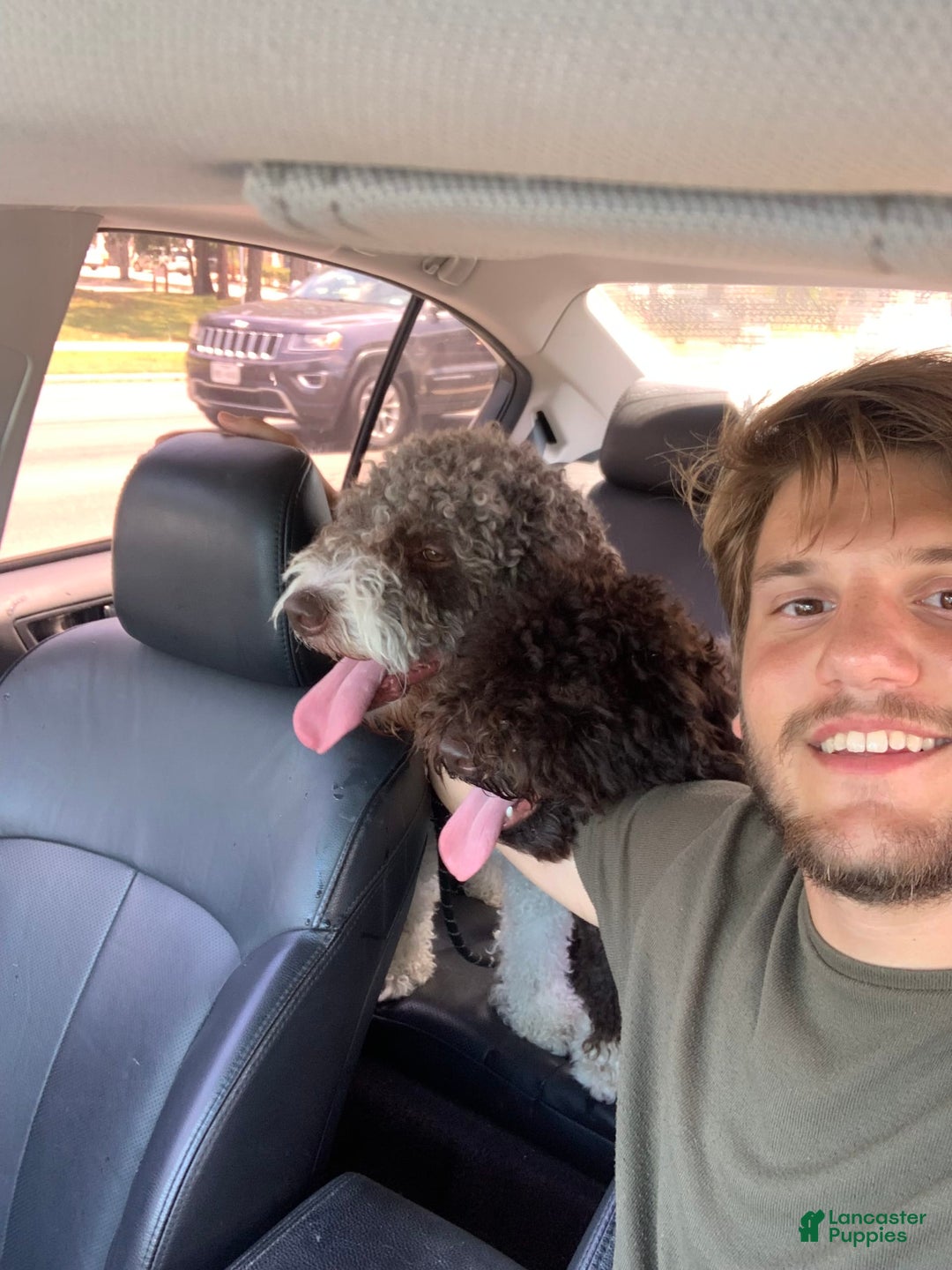 Gallery Image {{count}}