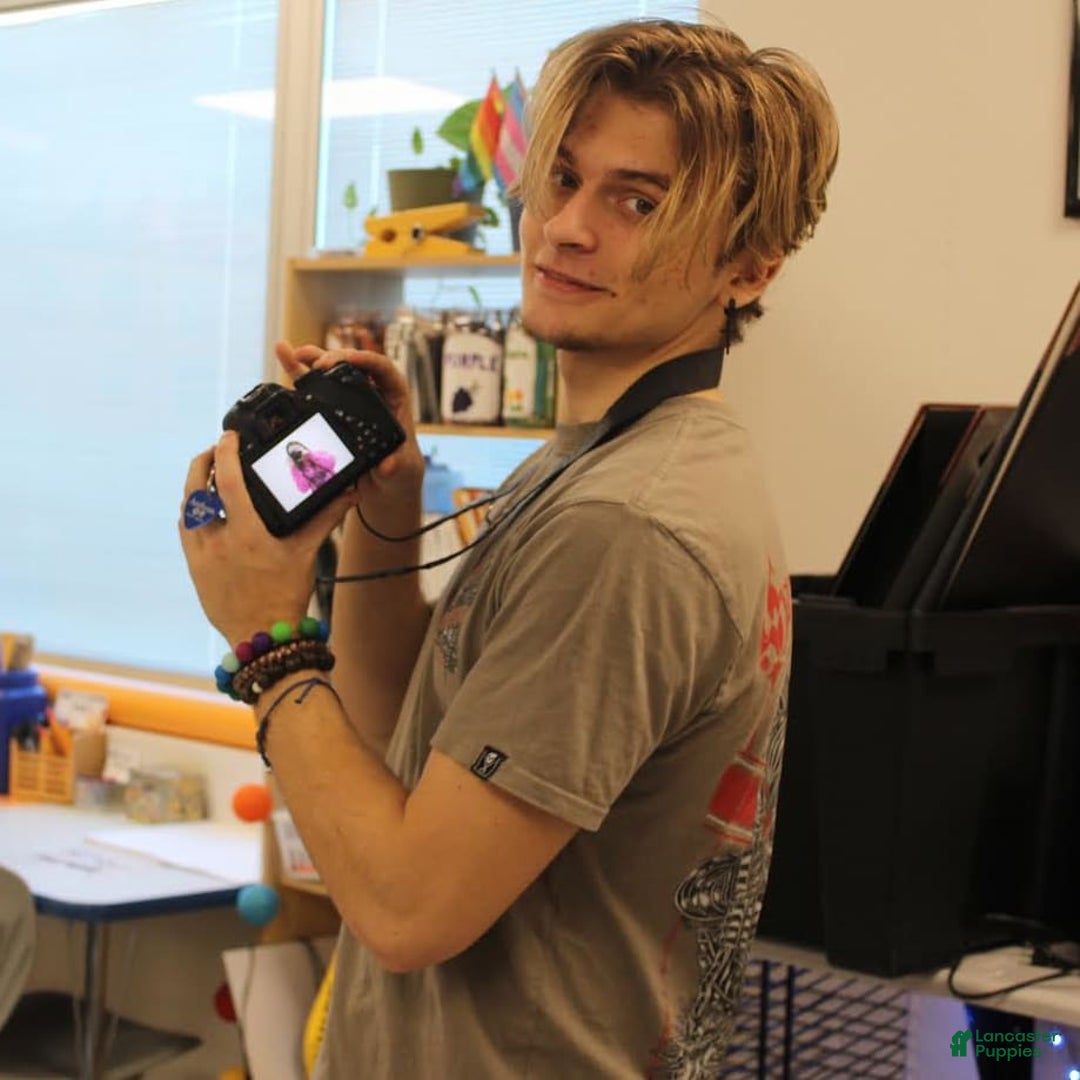 Gallery Image {{count}}