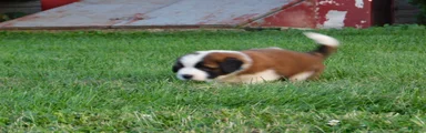 Barry