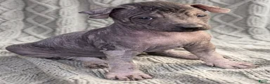 Boy 2