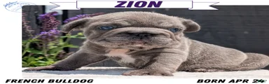 Zion