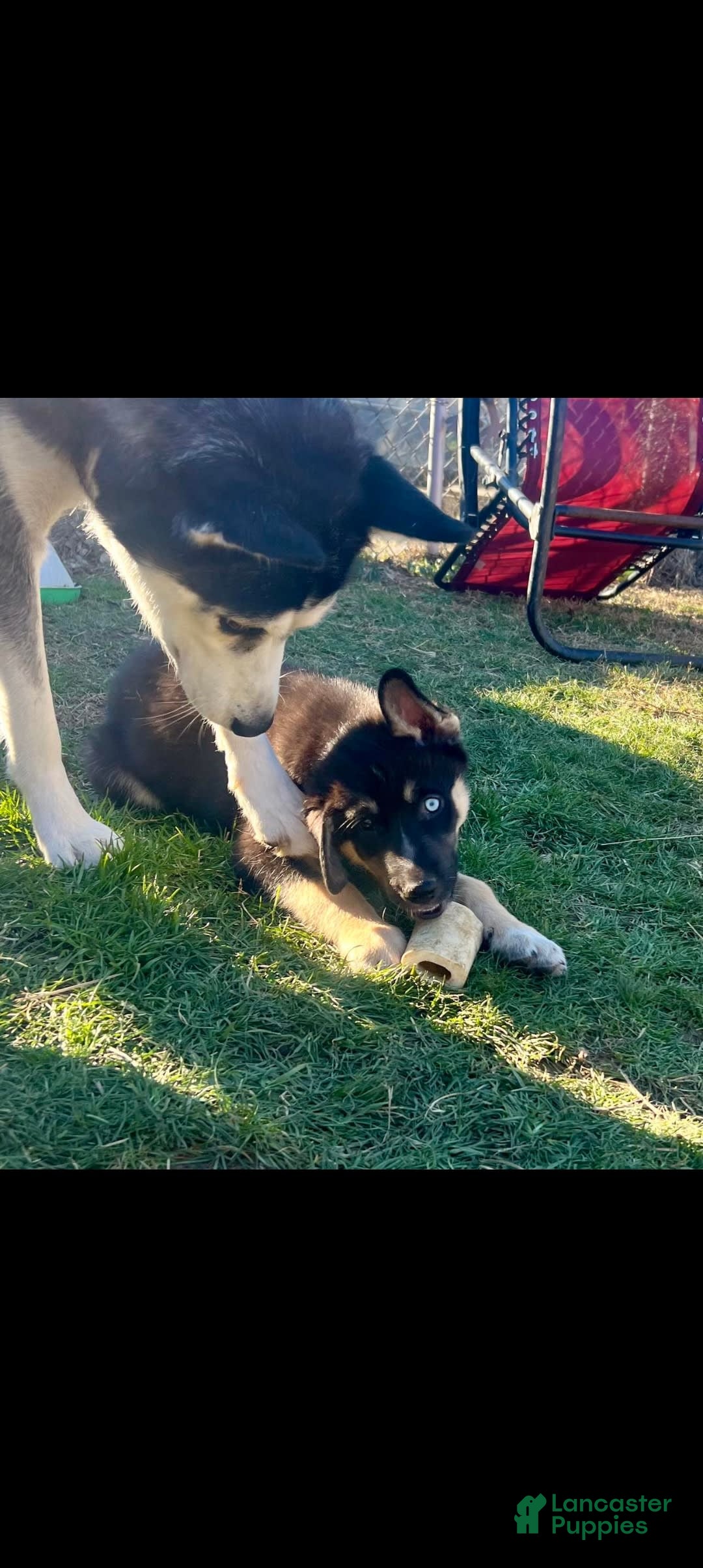 Gallery Image {{count}}