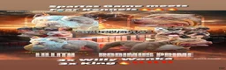 American Bully dogs for sale: American Bully 9 - Ad 6