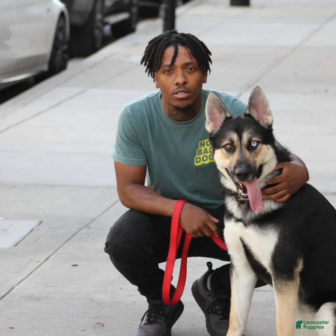 Gallery Image {{count}}