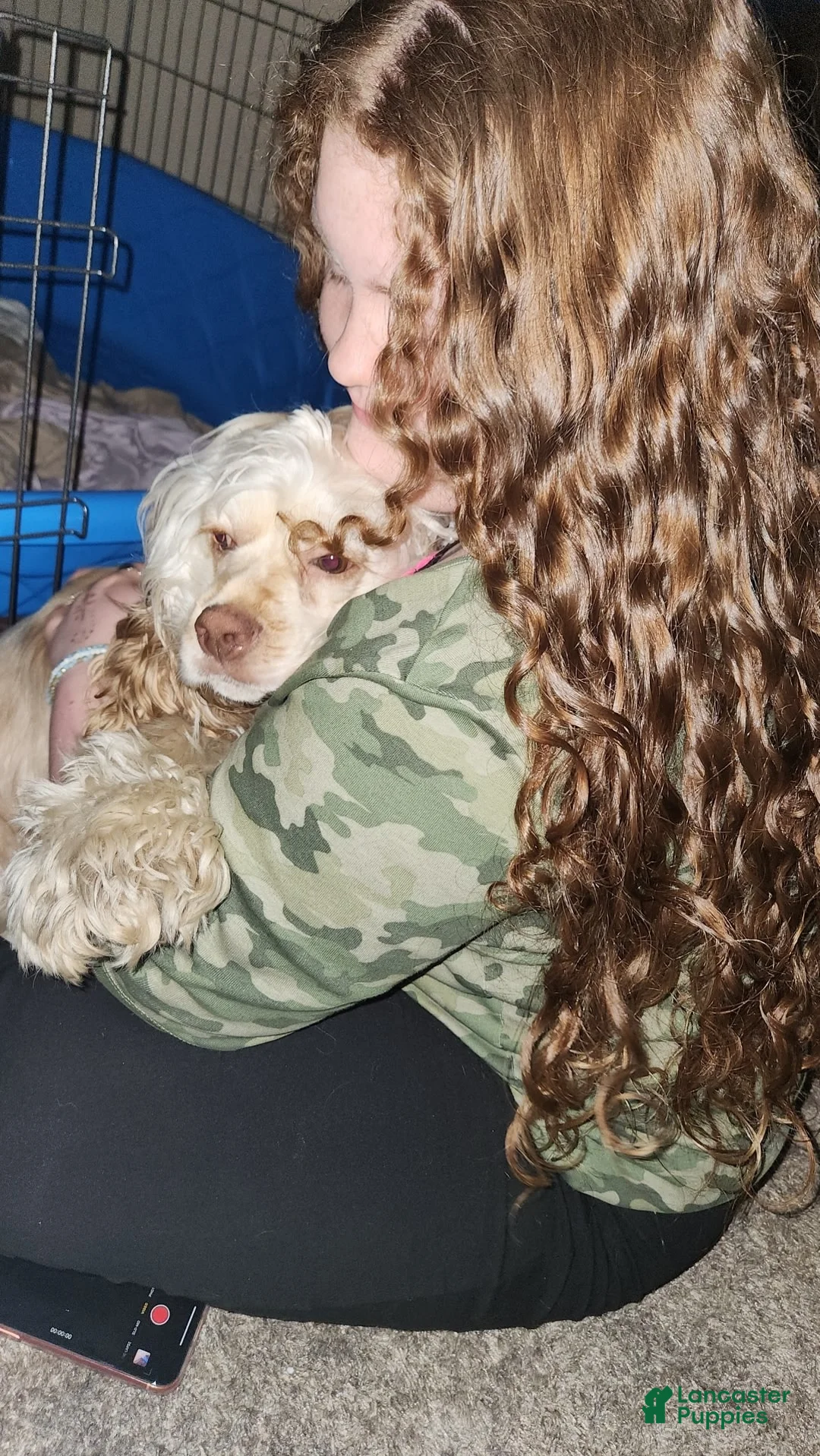 Gallery Image {{count}}