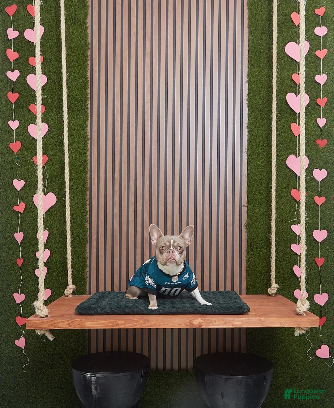 Gallery Image {{count}}