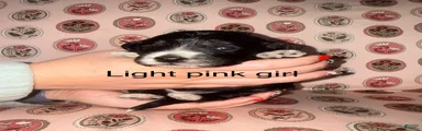 Light pink collar girl 