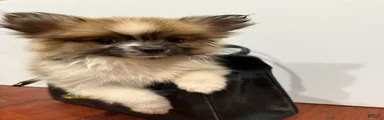 Snickers
