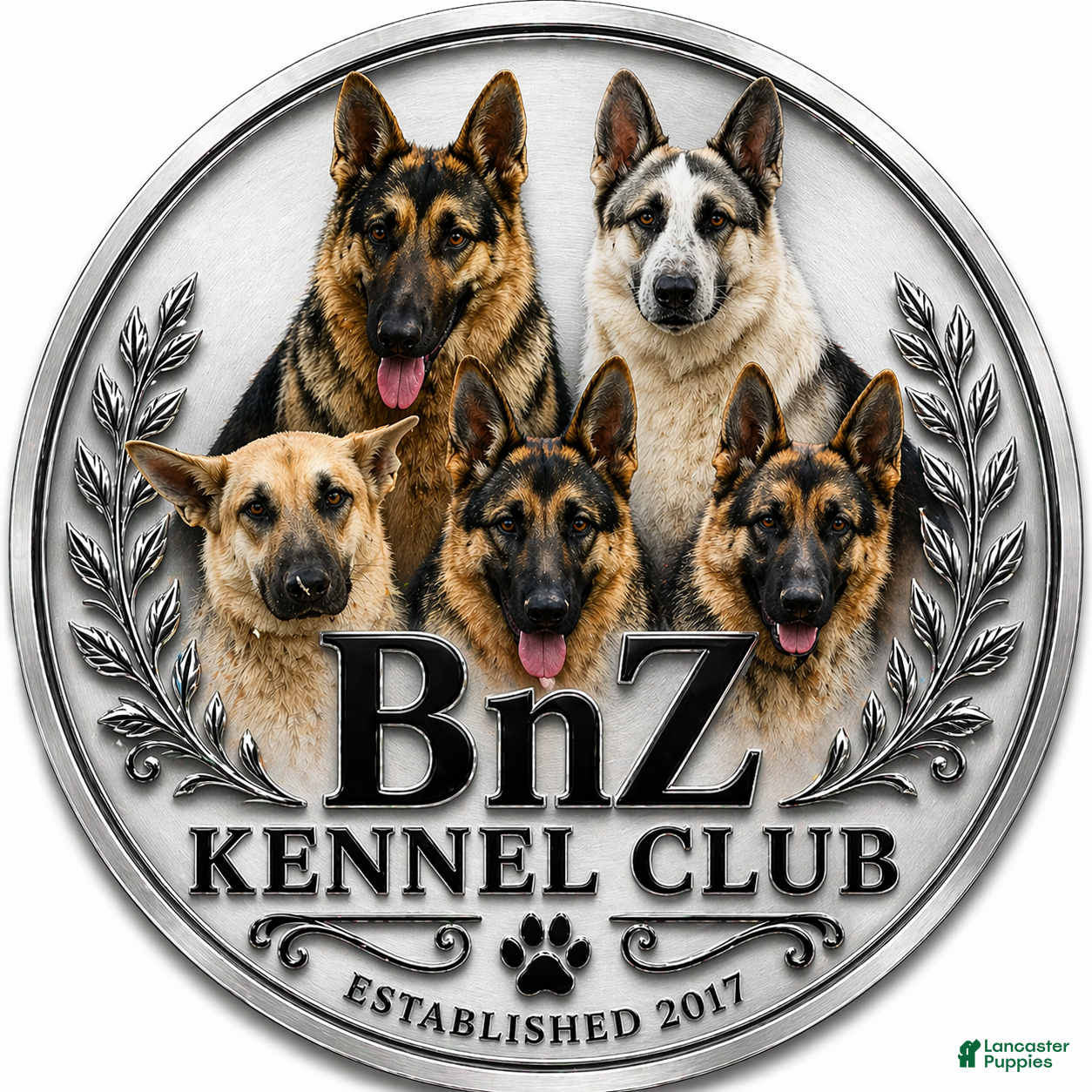 Bnz kennel club 