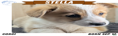 Stella