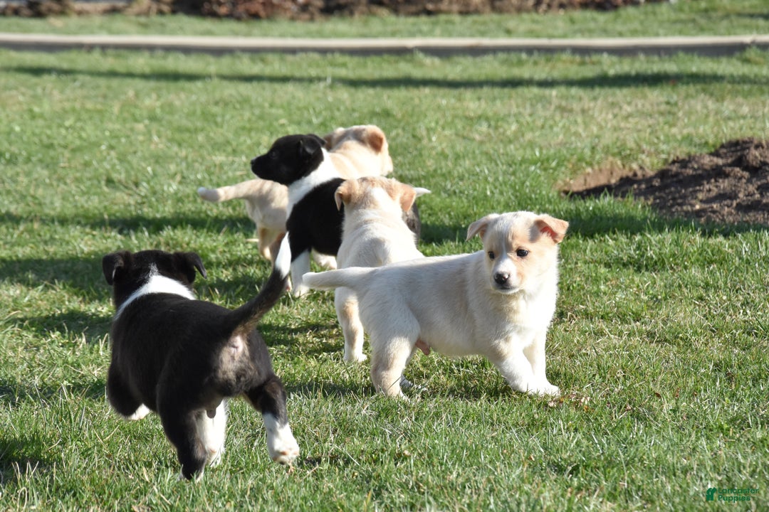 Gallery Image {{count}}