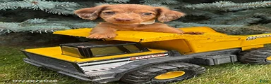 Laker
