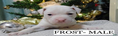FROST