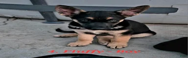 Fuffy