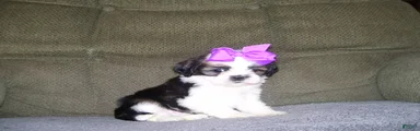 Gloria