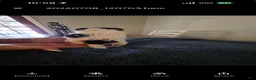 Mixed Breed dogs for sale: Blush - Ad 9