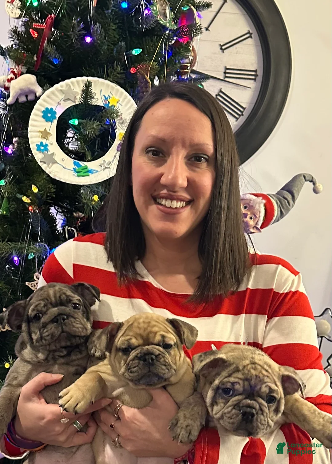 Gallery Image {{count}}