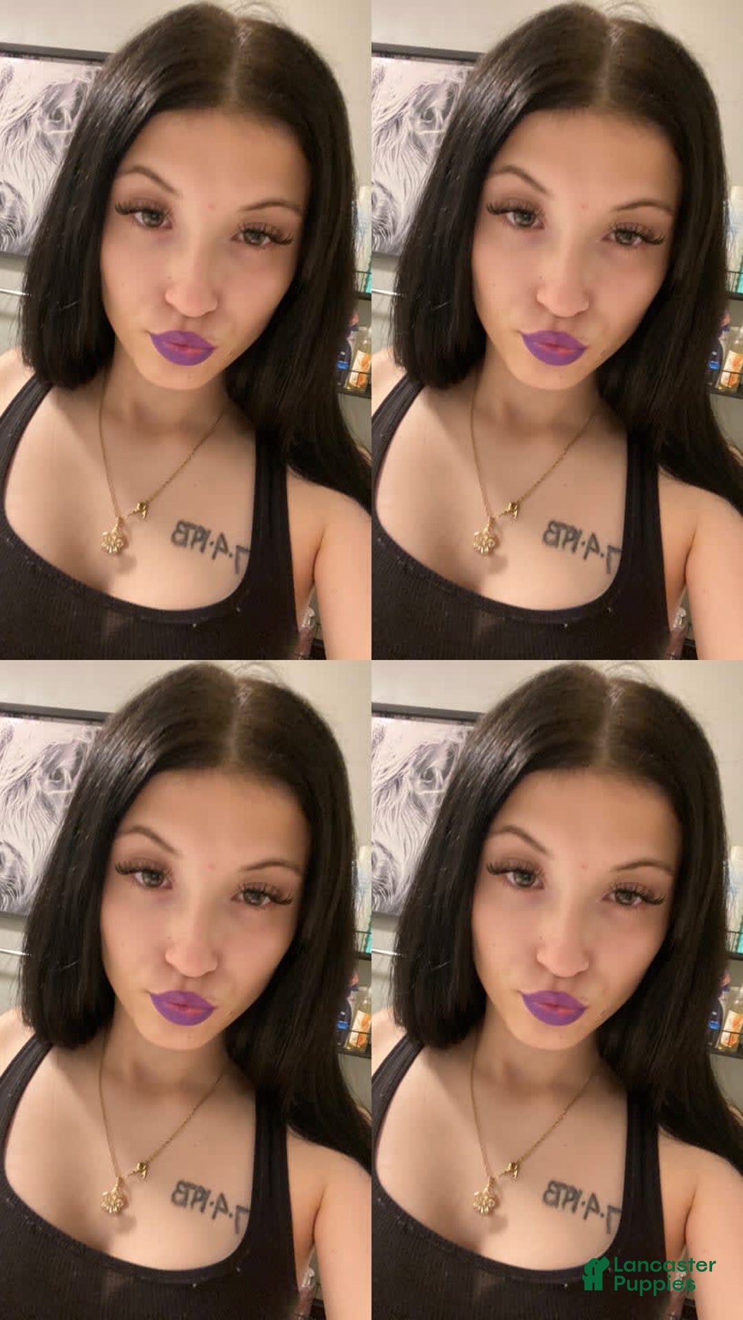 Gallery Image {{count}}