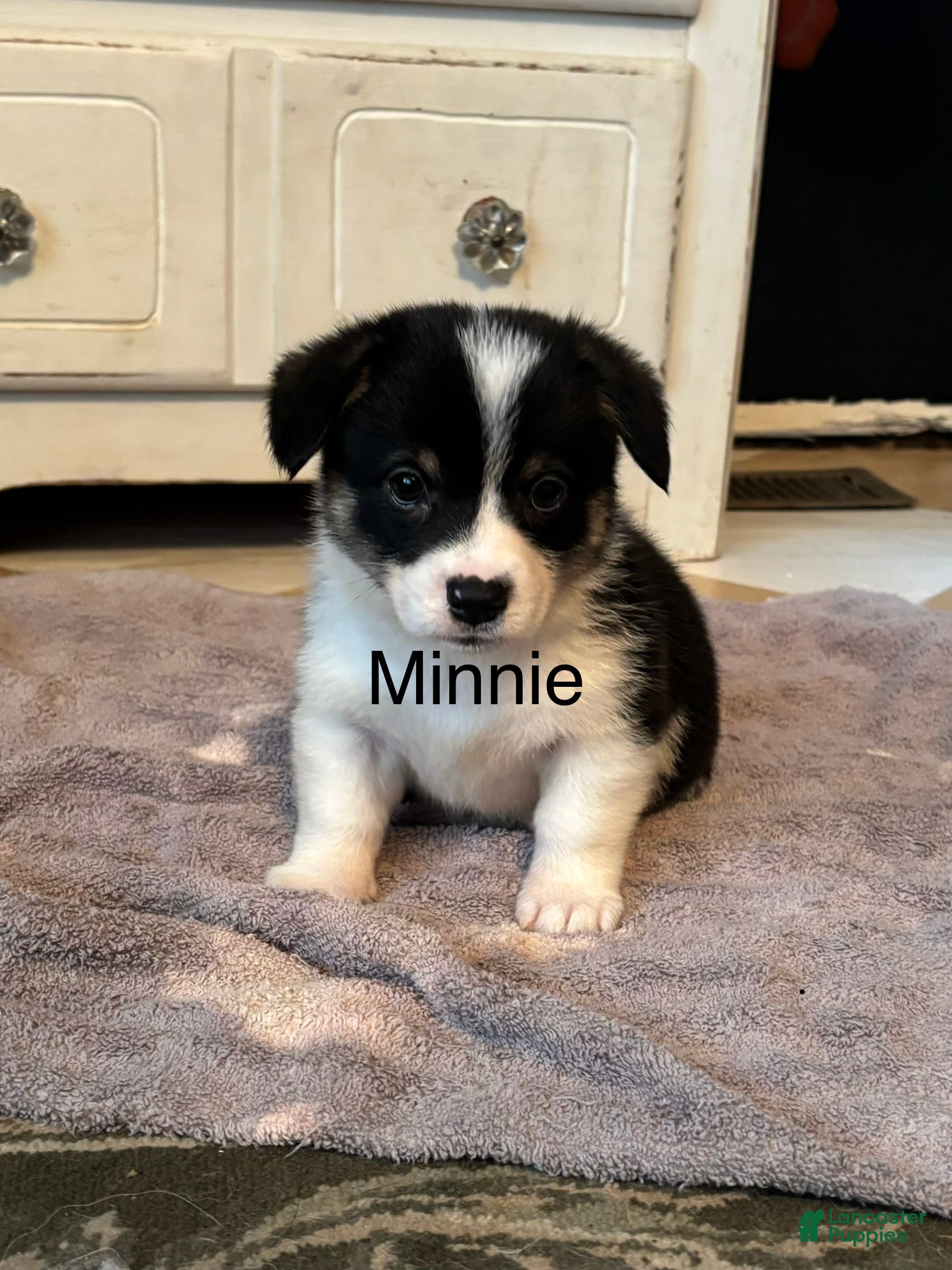 Minnie