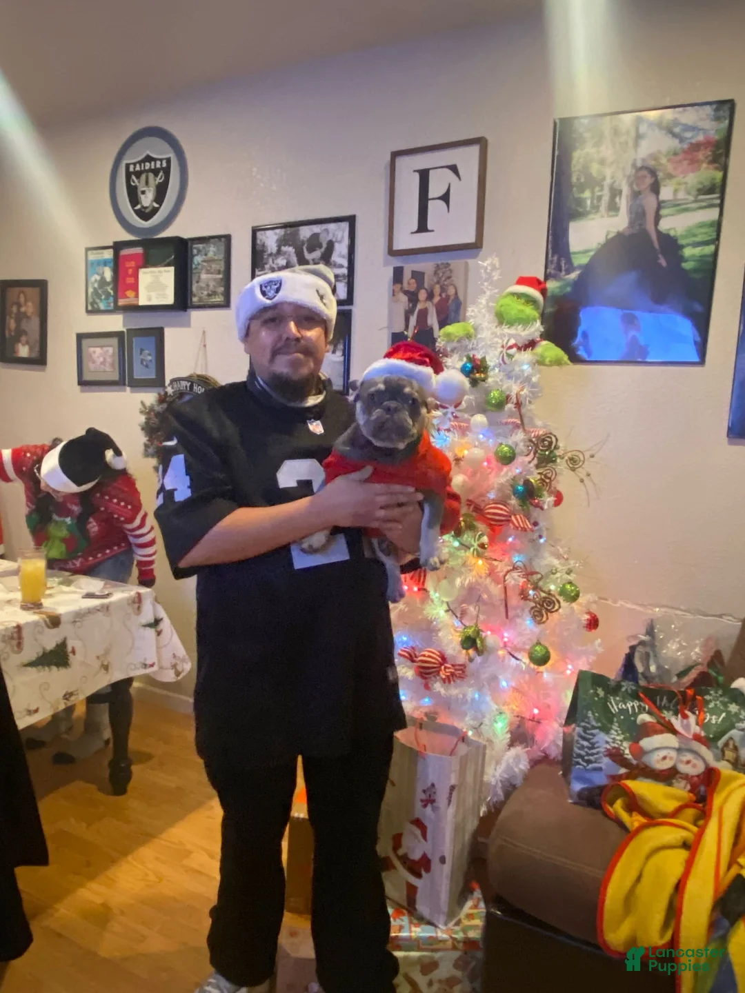 Gallery Image {{count}}