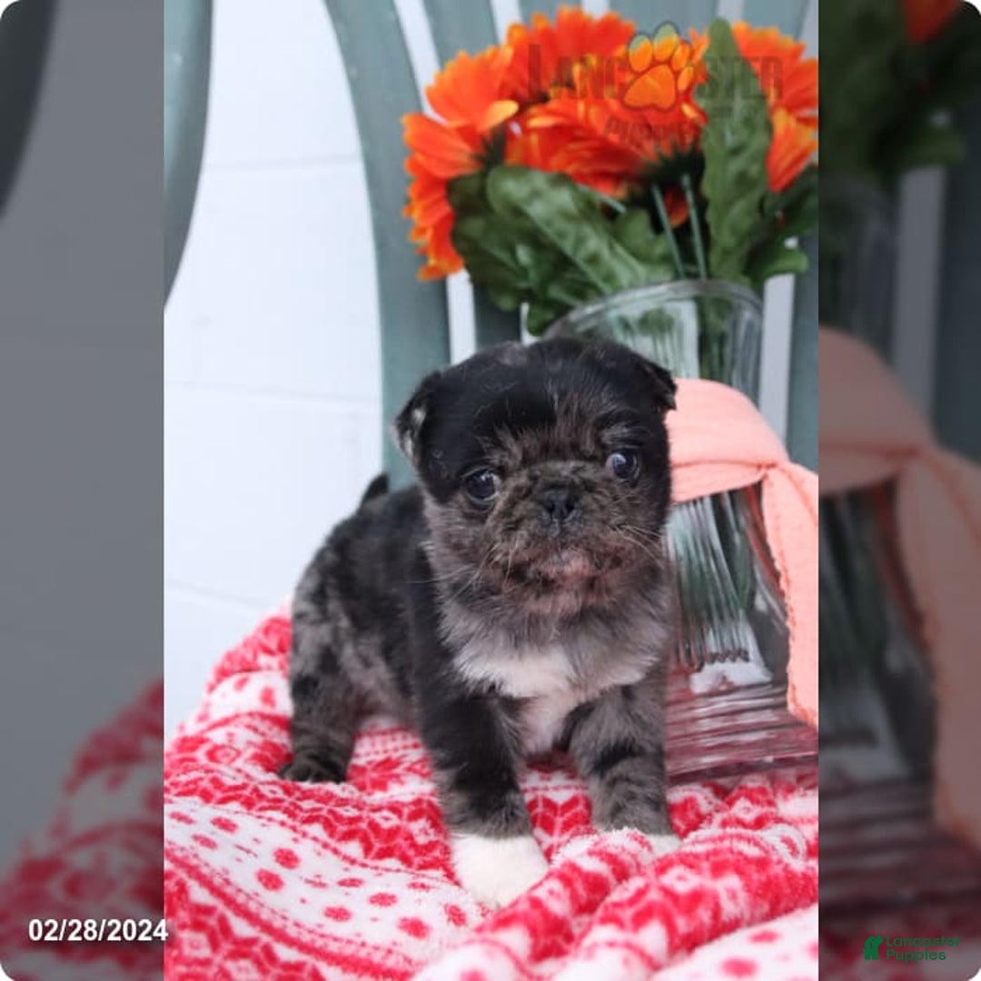 Gallery Image {{count}}