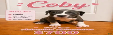 Coby 