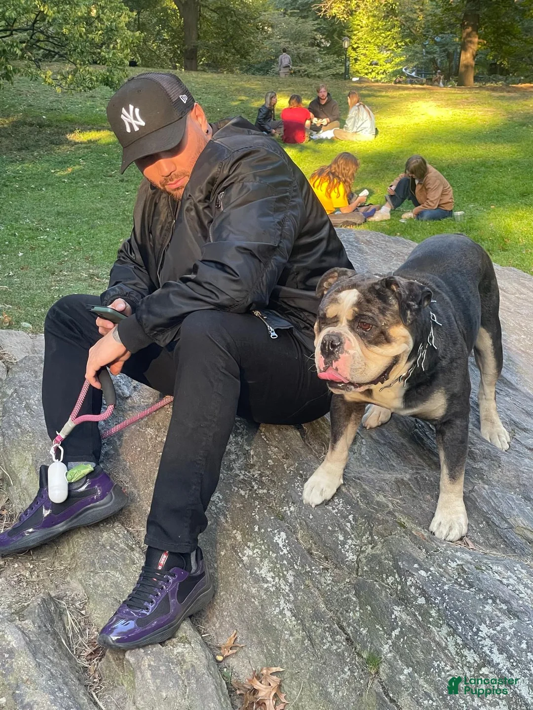 Gallery Image {{count}}