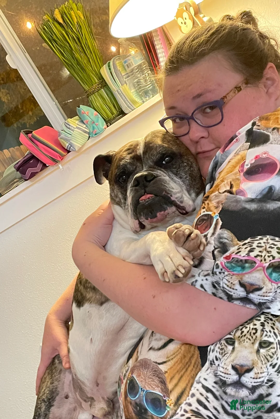 Gallery Image {{count}}