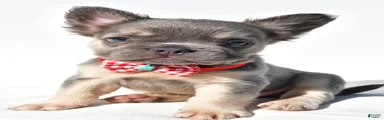 Nickel
