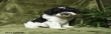 Mildred