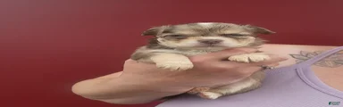 Timber