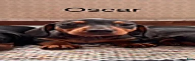Oscar