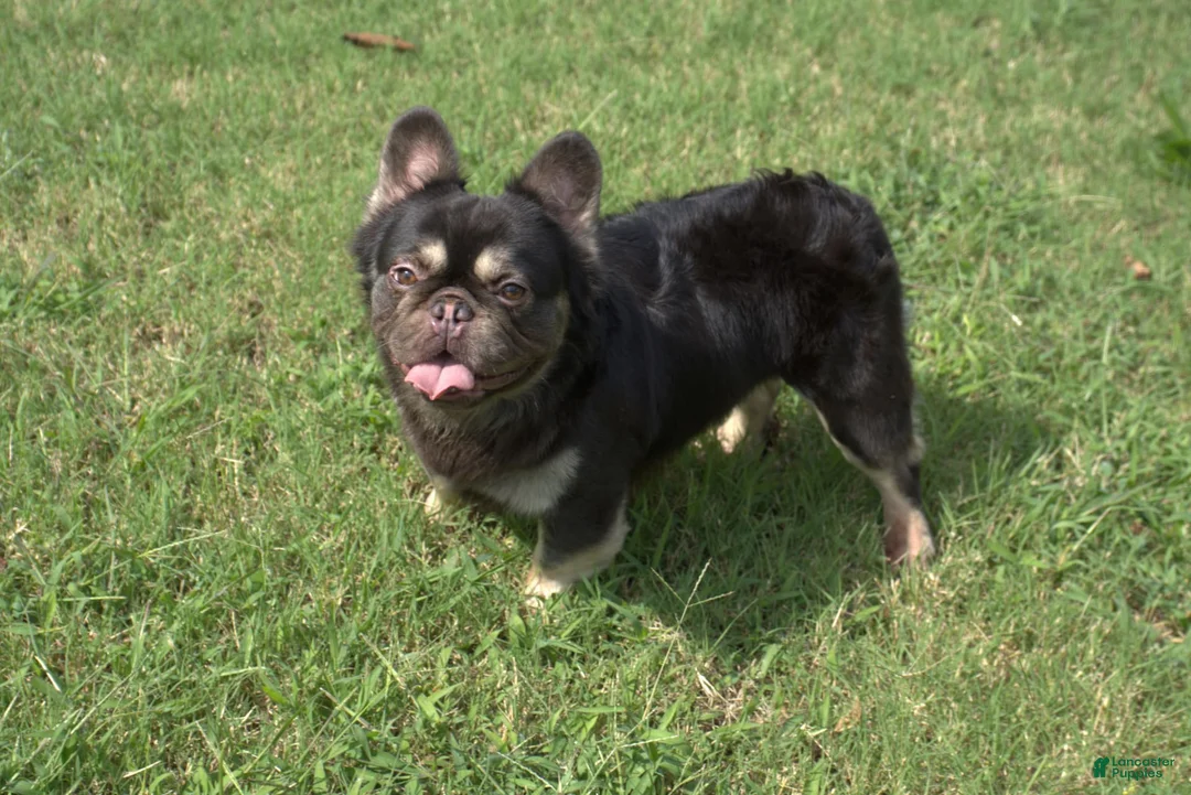 Gallery Image {{count}}