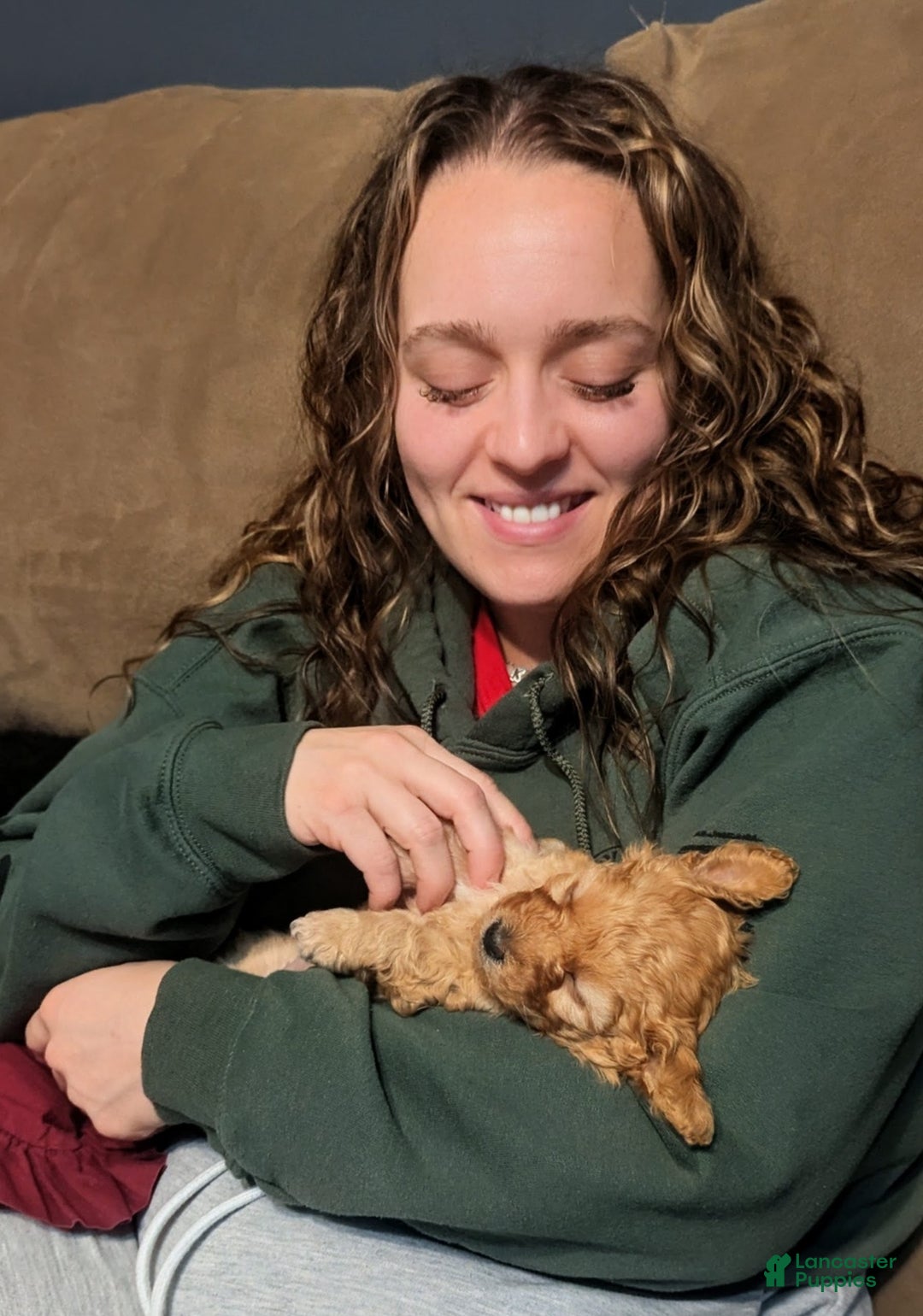 Mixed Breed dogs for sale: Luna  - Ad 5