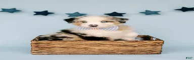 Samson 