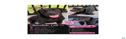 Labrador Retriever dogs for sale: Labrador Retriever 1 - Ad 4