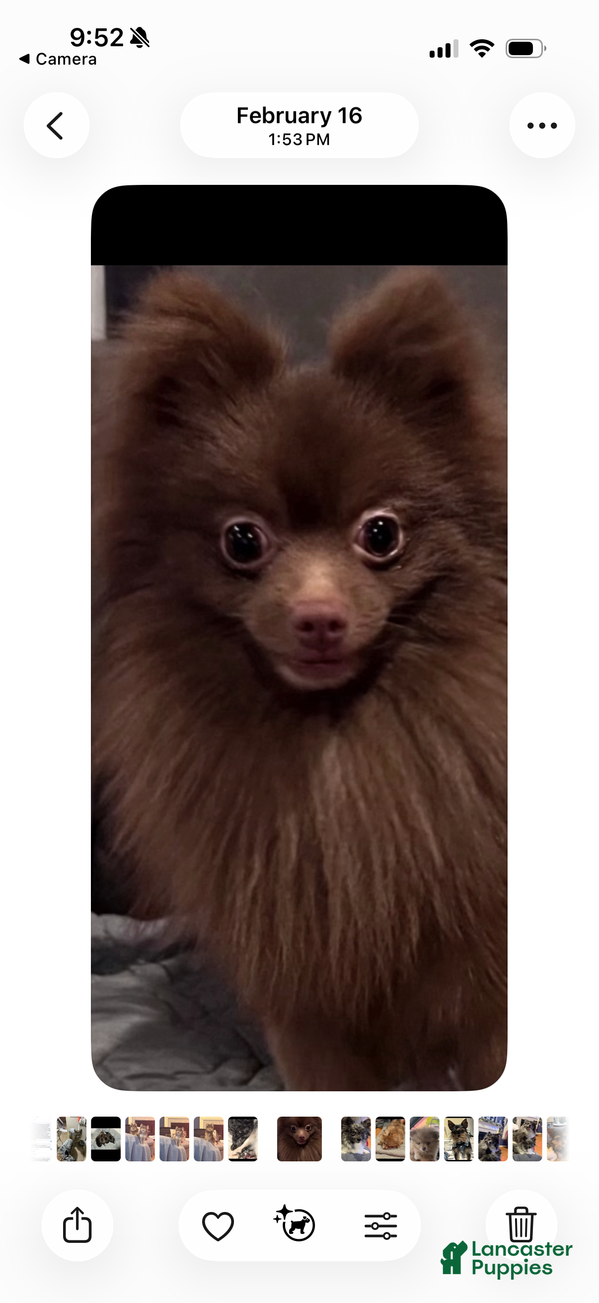 Sebastian .. Aka “ Bass “ 