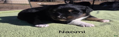 Naomi