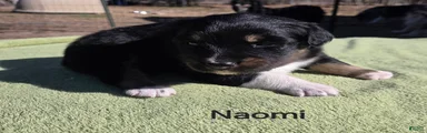 Naomi