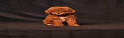 Toy Poodle dogs for sale: Tiny Daisy - Ad 1